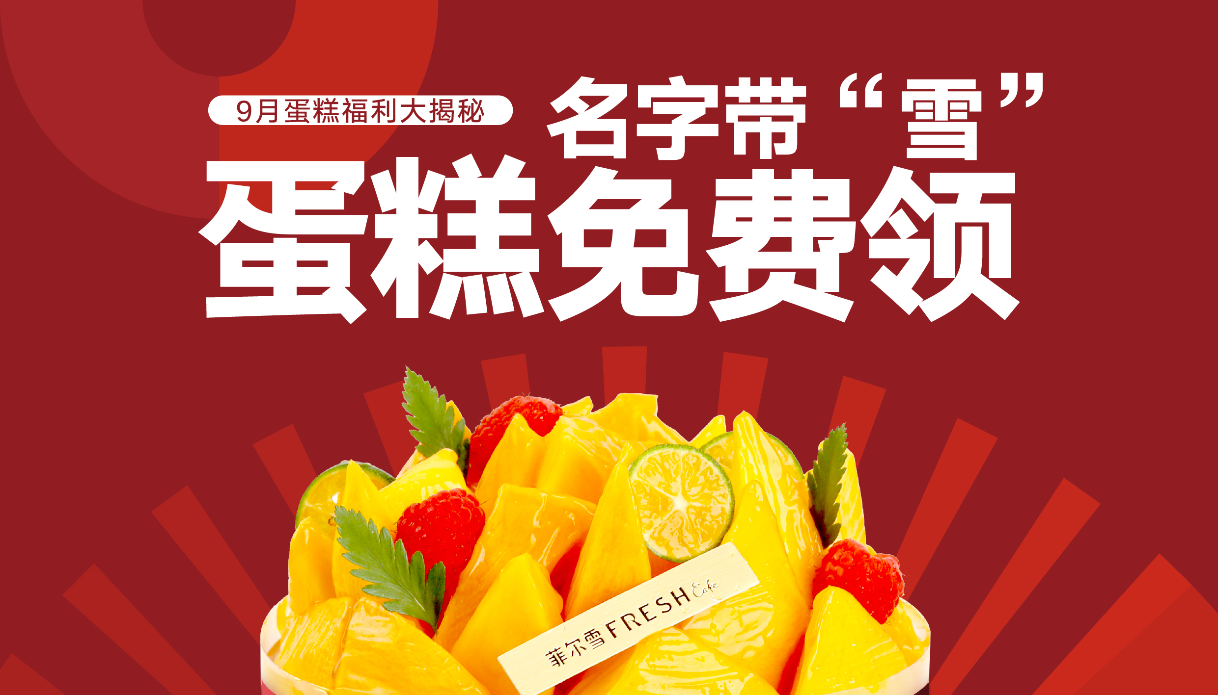 6寸蛋糕送送送！这次直接500个！
